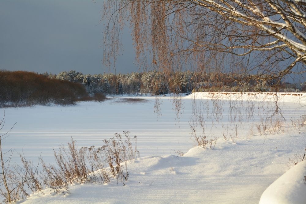 Photograph by София Бояринцева