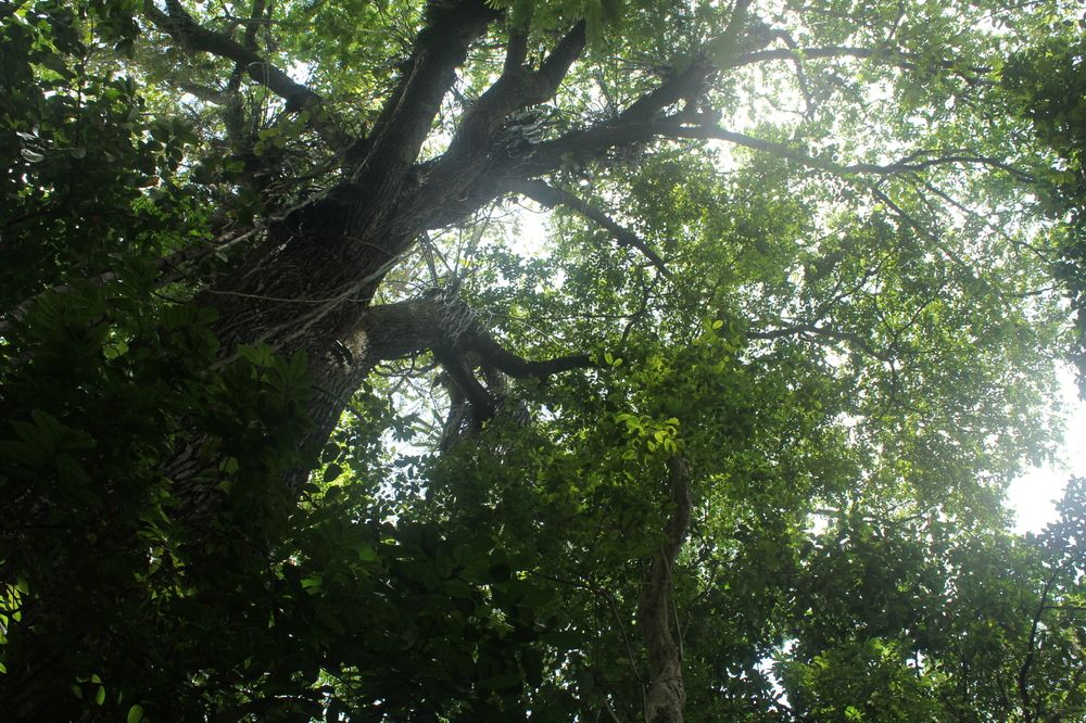 Photograph by CRINALDO REIS