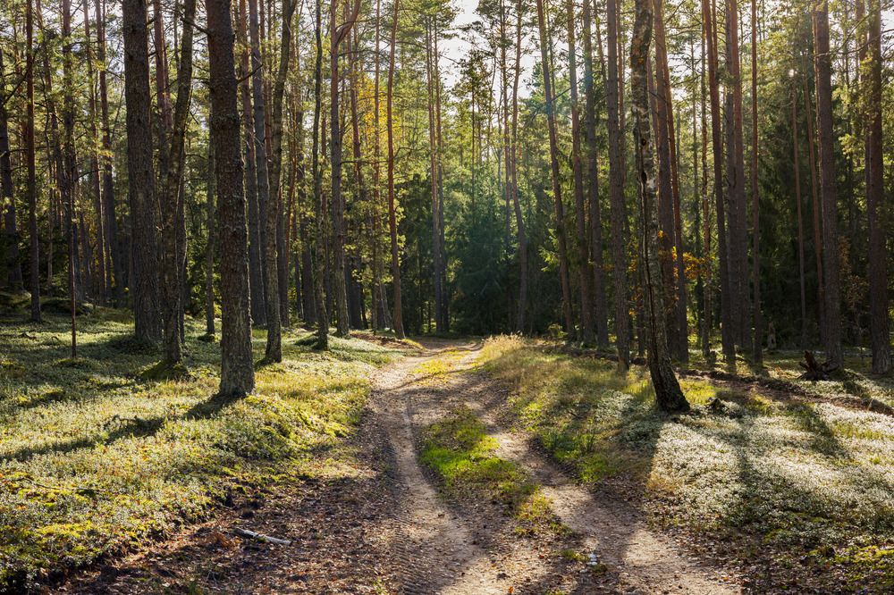 Фотография автора Вадим Копилец