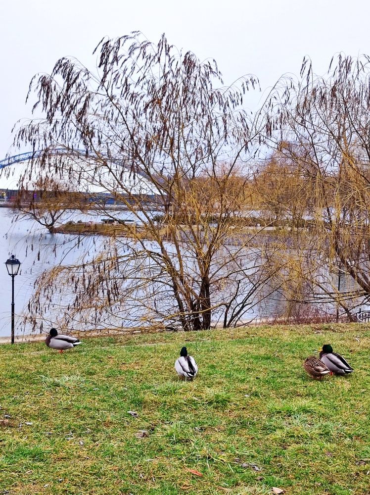 Фотография автора Рузинова Елена