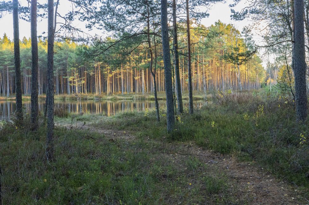 Фотография автора Вадим Копилец