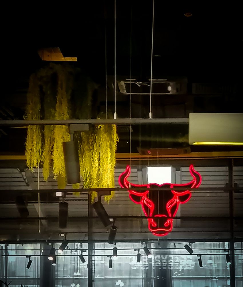 Photograph by Diana Greske