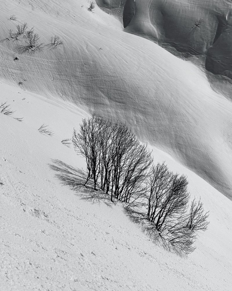 Photograph by Elena Ananieva
