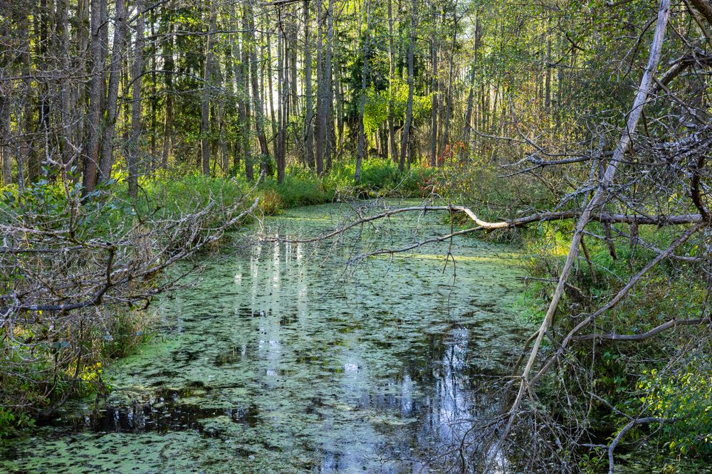 Фотография автора Вадим Копилец