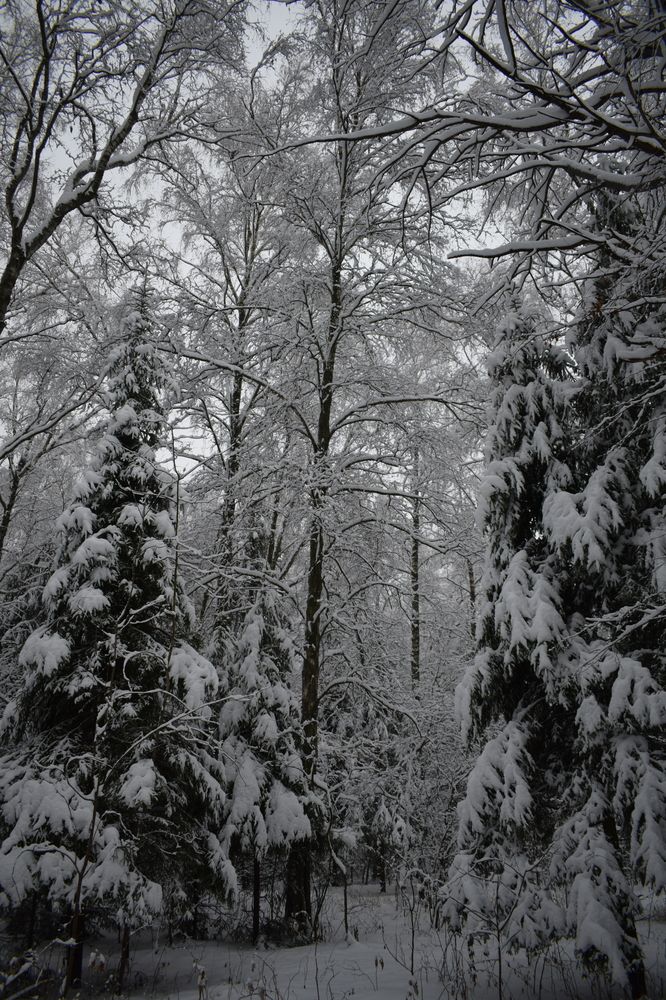Photograph by Sveta Castañer