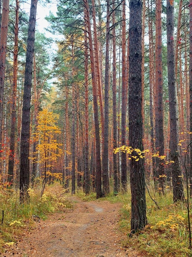 Фотография автора Анастасия Куликова