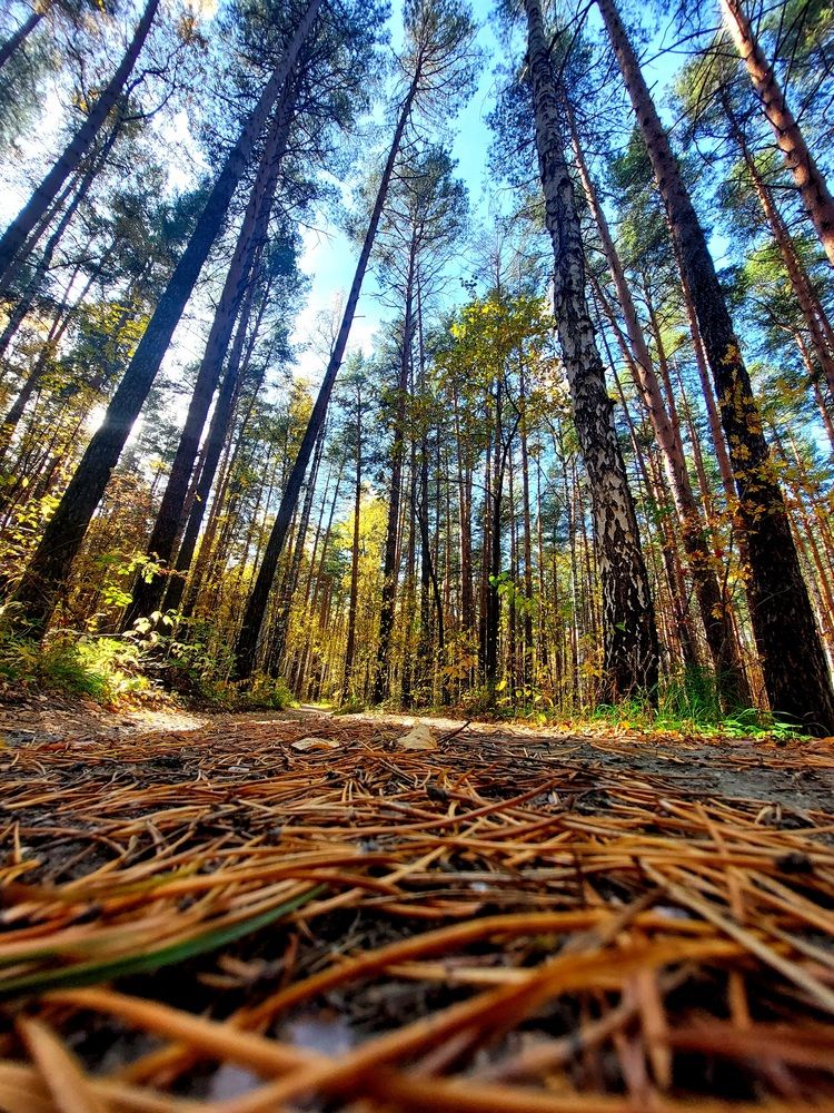 Фотография автора Анастасия Куликова