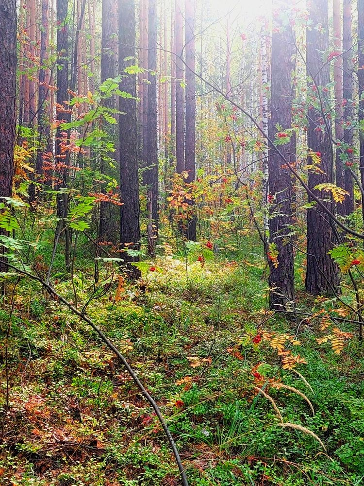 Фотография автора Анастасия Куликова