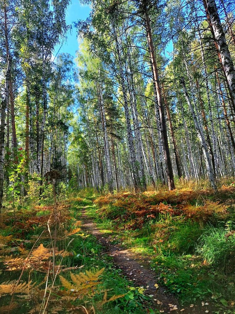 Фотография автора Анастасия Куликова