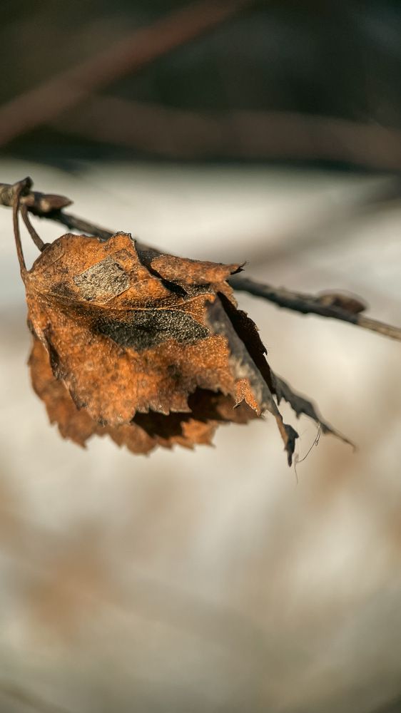 Photograph by Ольга Дорошенко