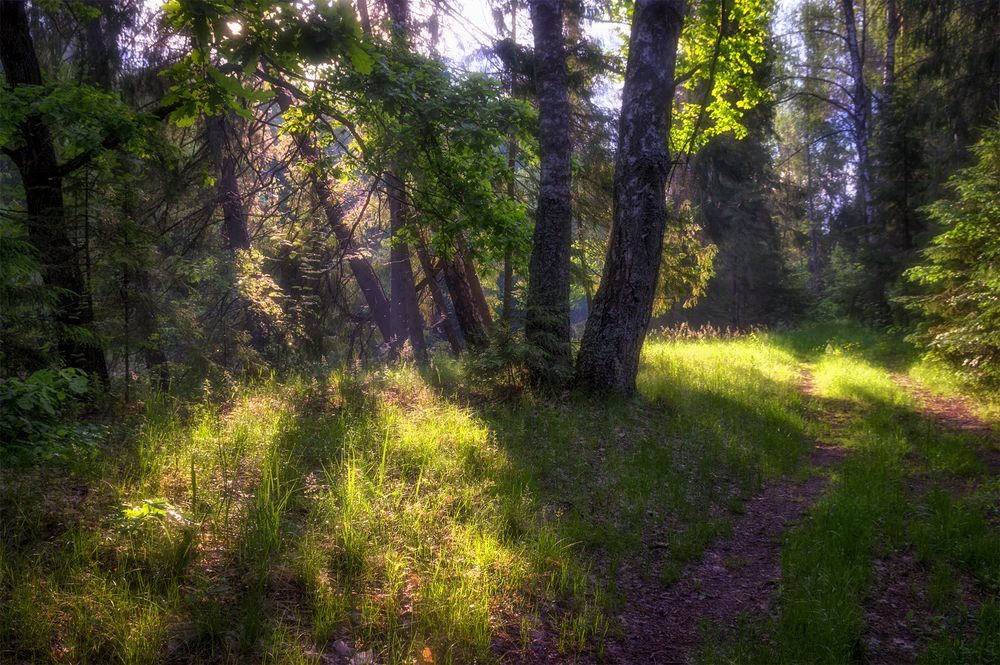 Photograph by Владимир