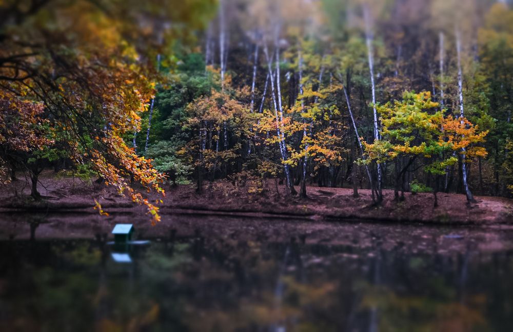 Photograph by Diana Greske