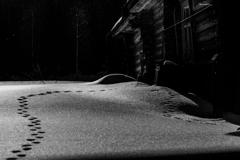 Photograph by Vladimir Petukhov