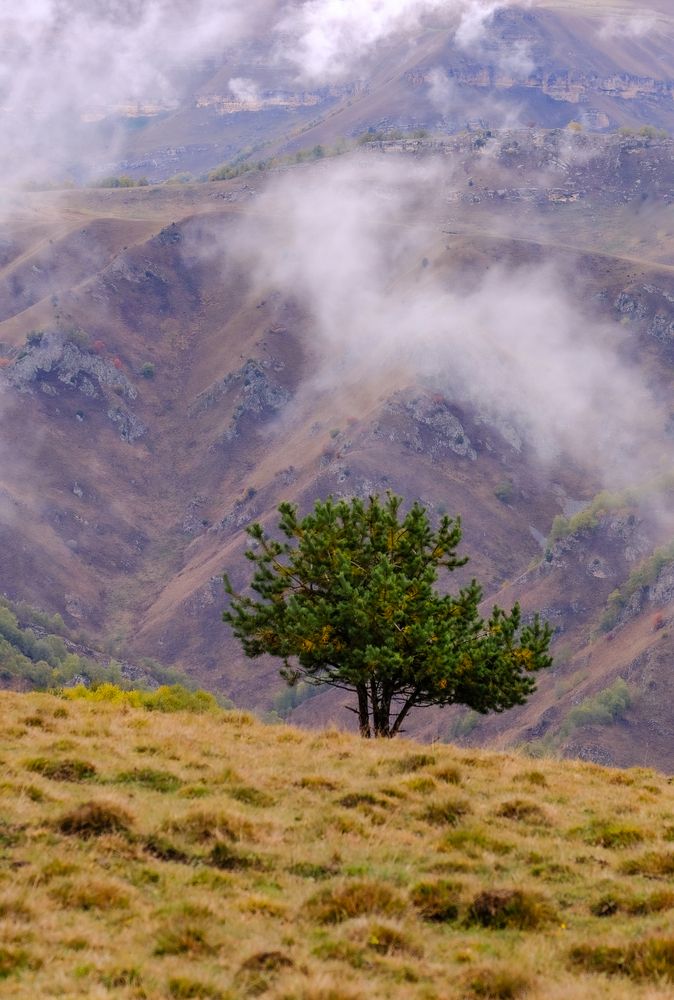 Природа гор