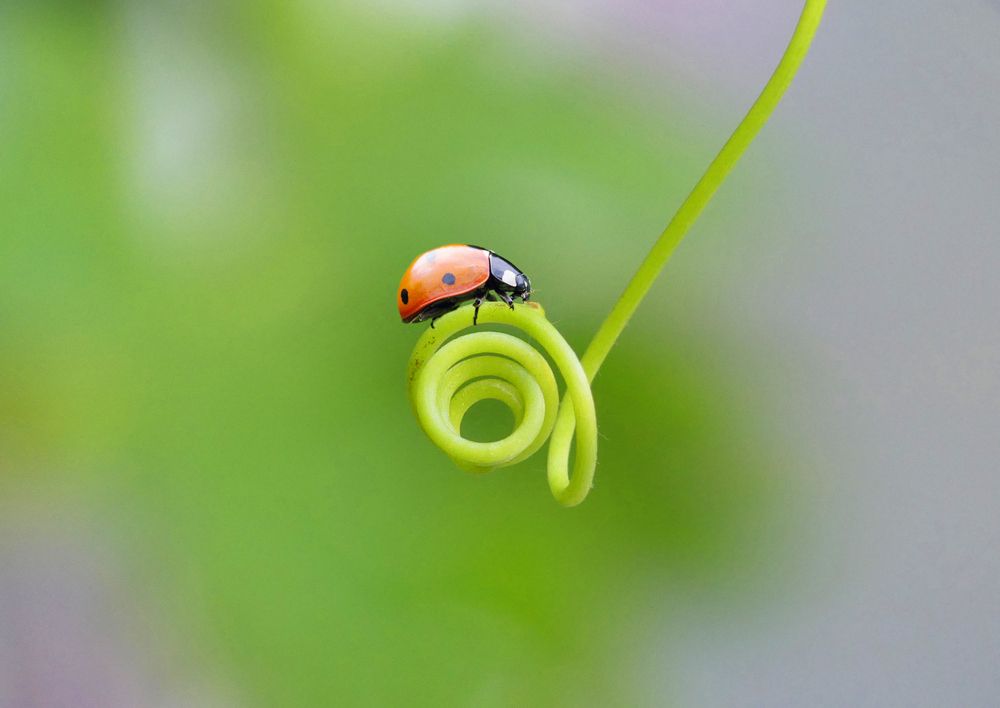 Photograph by ali bakhshi