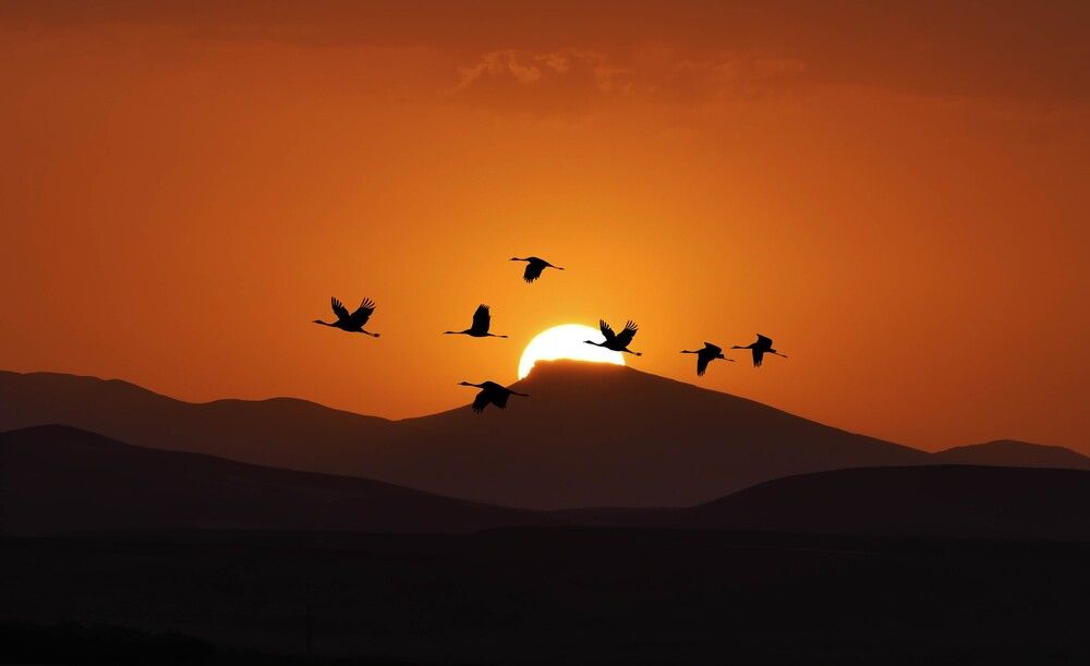 Photograph by ali bakhshi