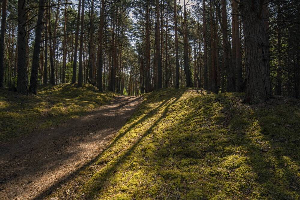 Photograph by Николай Лысцев