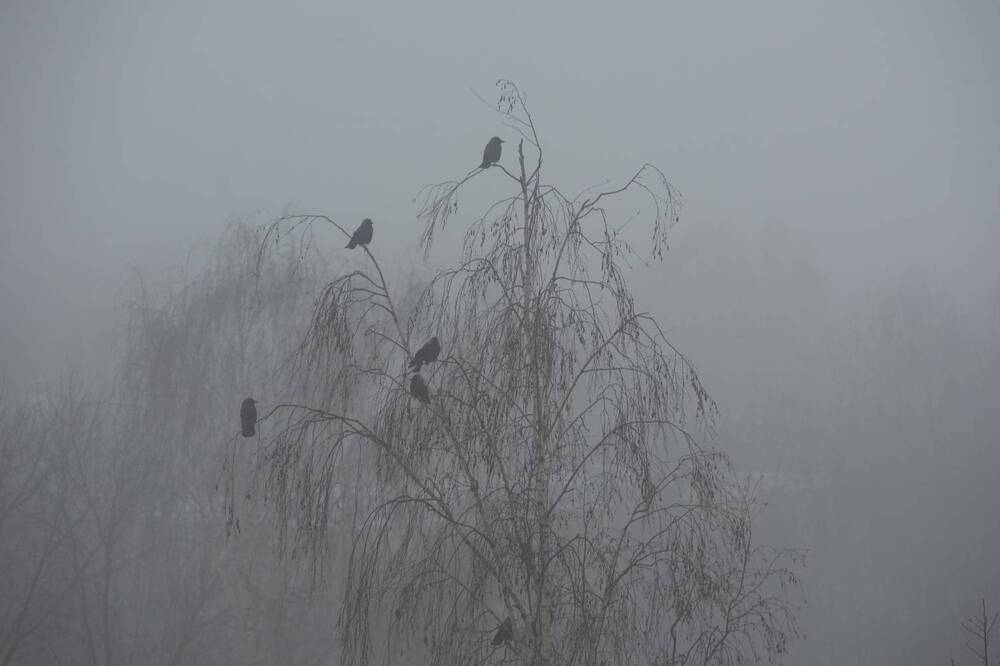 Photograph by Дмитрий Поляков