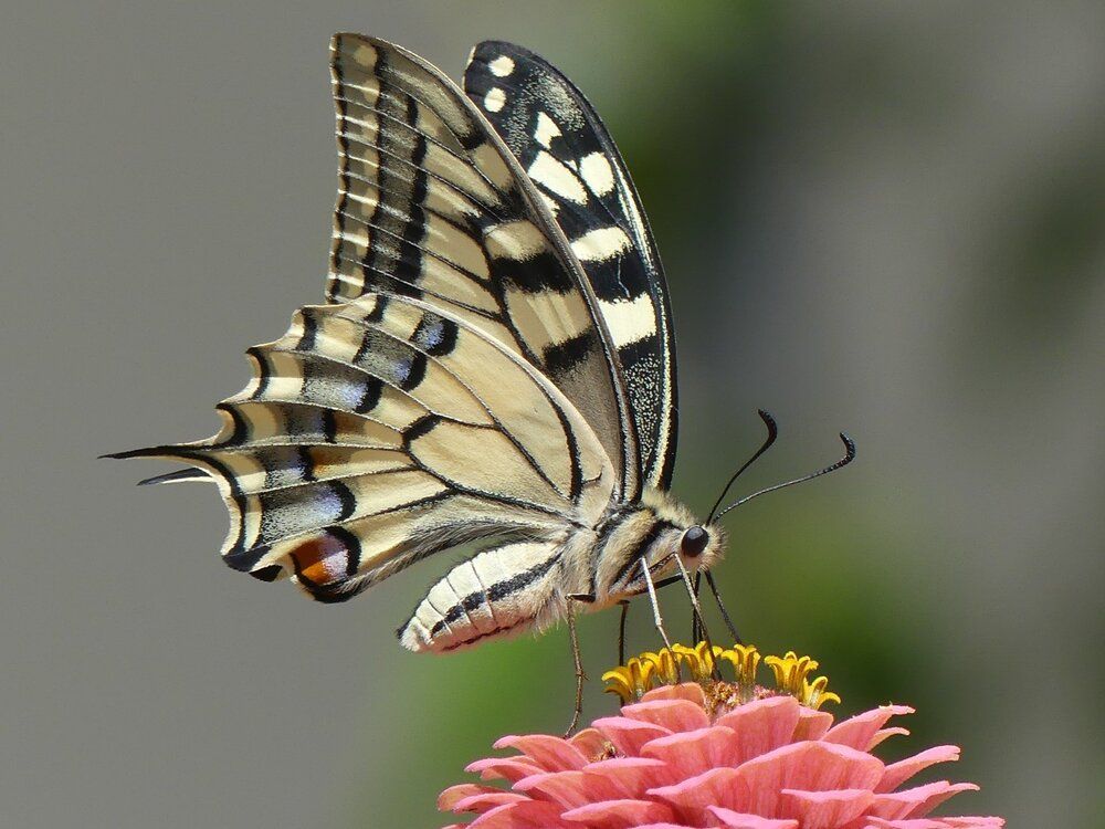 Photograph by ali bakhshi