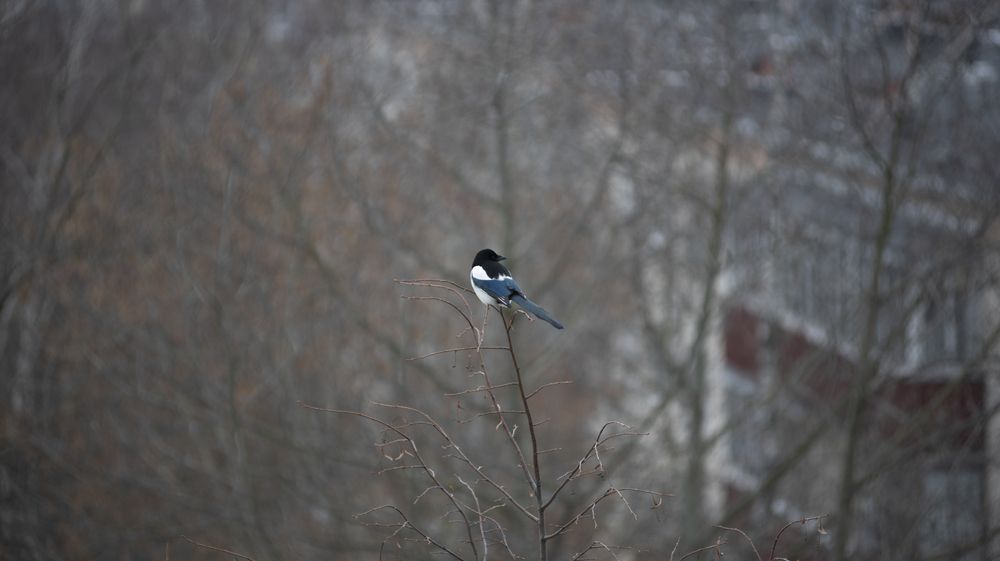 Photograph by Дмитрий Поляков