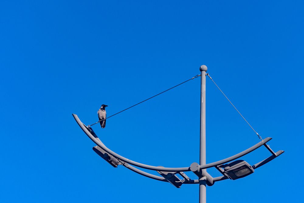 Photograph by Алексей Гуськов