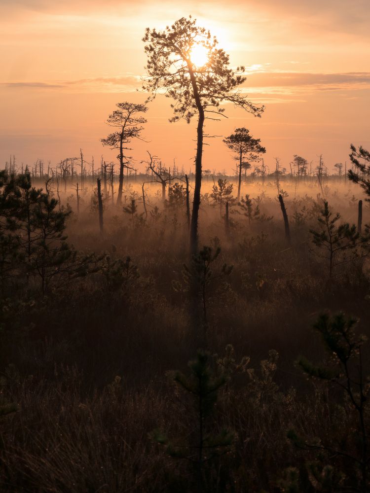 Фотография автора Врубель Андрей