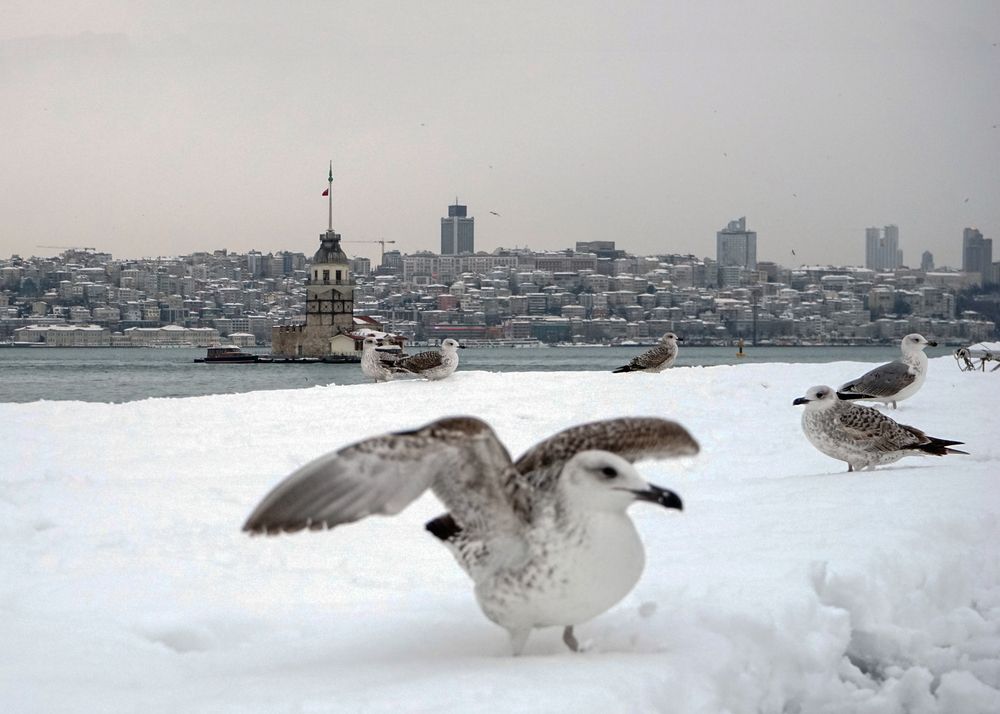 Photograph by sezai özaltın
