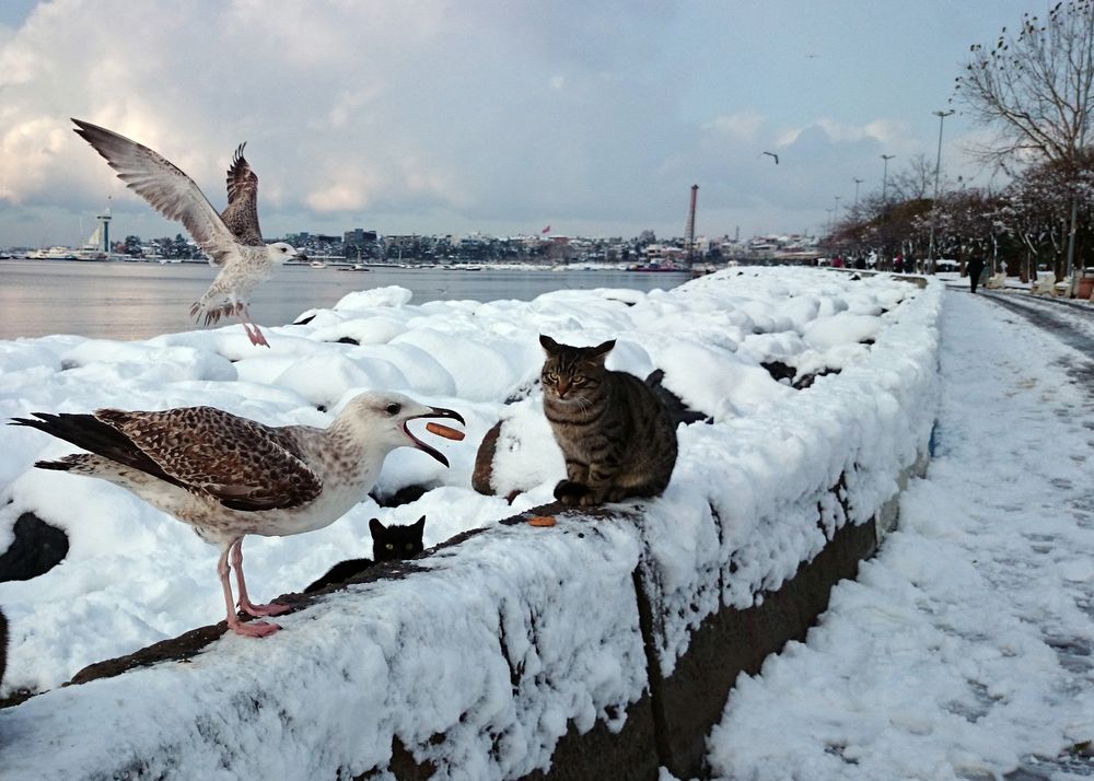 Photograph by sezai özaltın