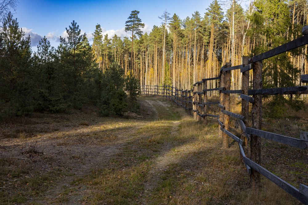 Фотография автора Вадим Копилец