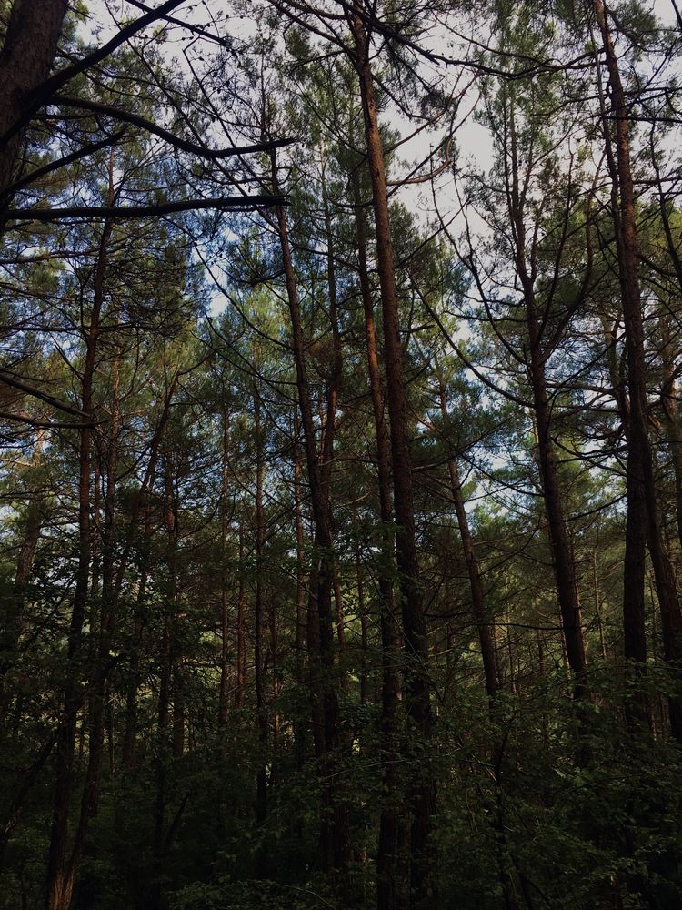 Photograph by Полина Рыжакова