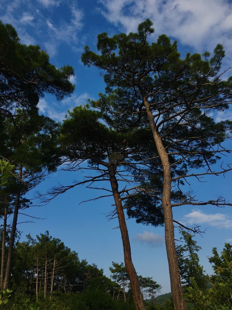 Photograph by Полина Рыжакова