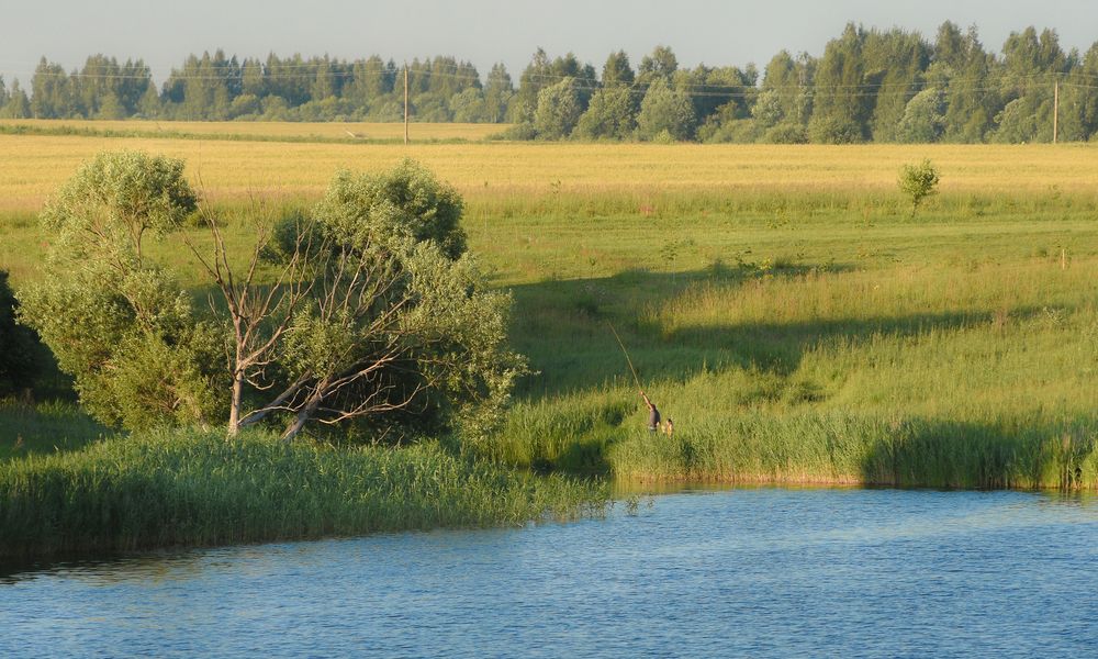 Фотография автора Синицын Владислав