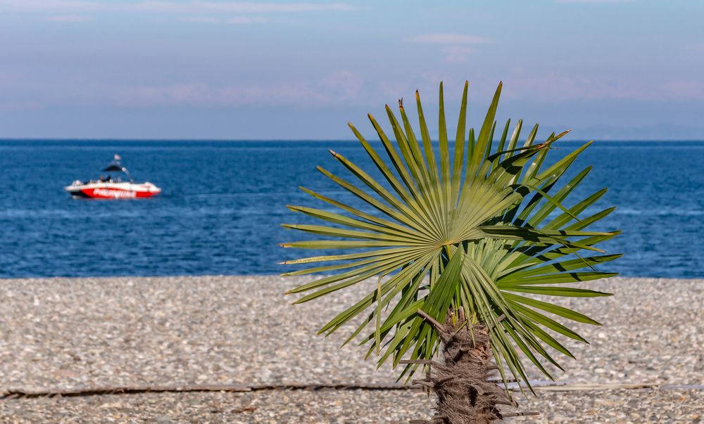 Photograph by Алексей Гуськов