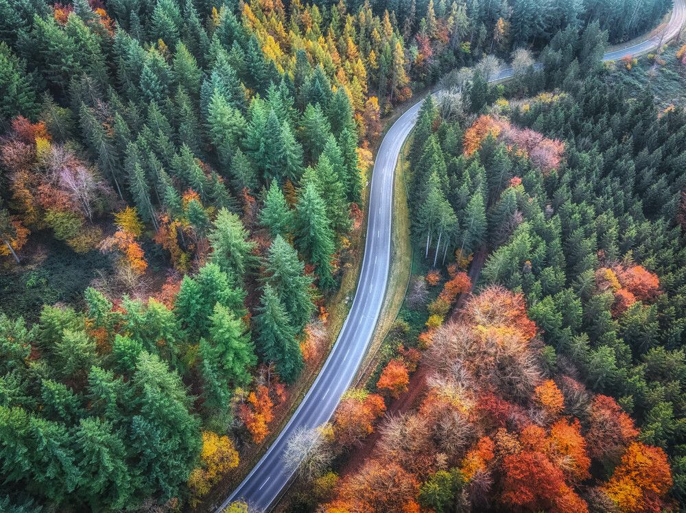 Photograph by Guy Krier