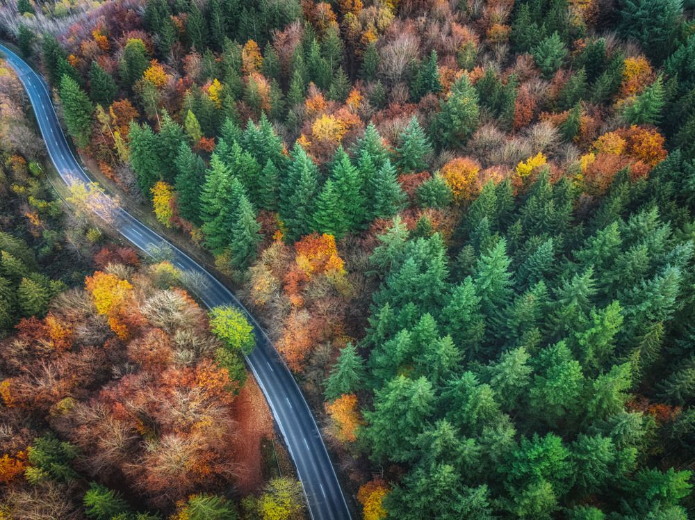 Photograph by Guy Krier