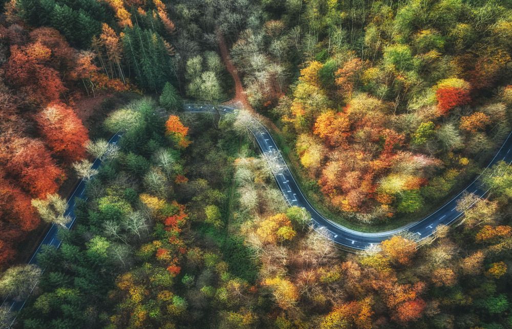 Photograph by Guy Krier