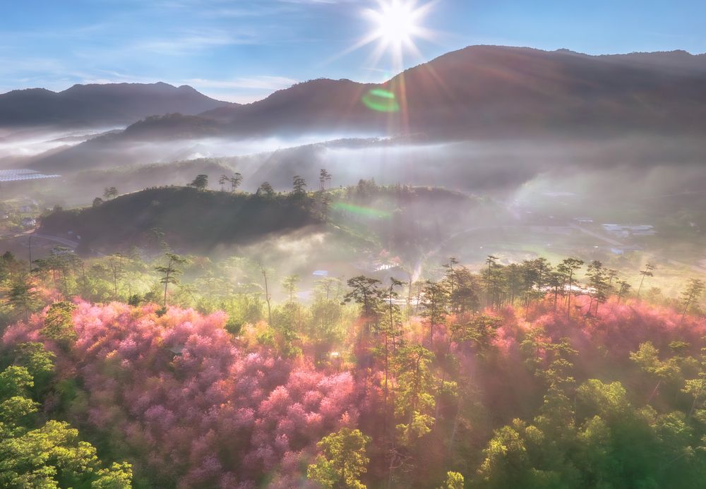 Photograph by Tran Phuong