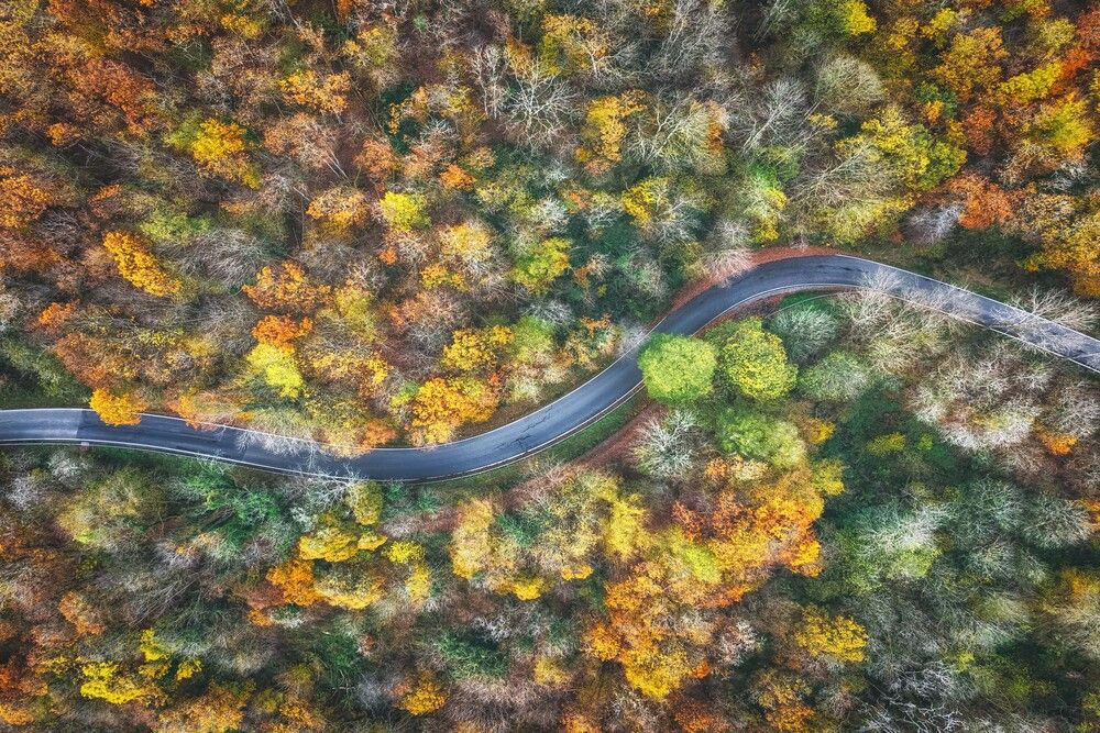 Photograph by Guy Krier