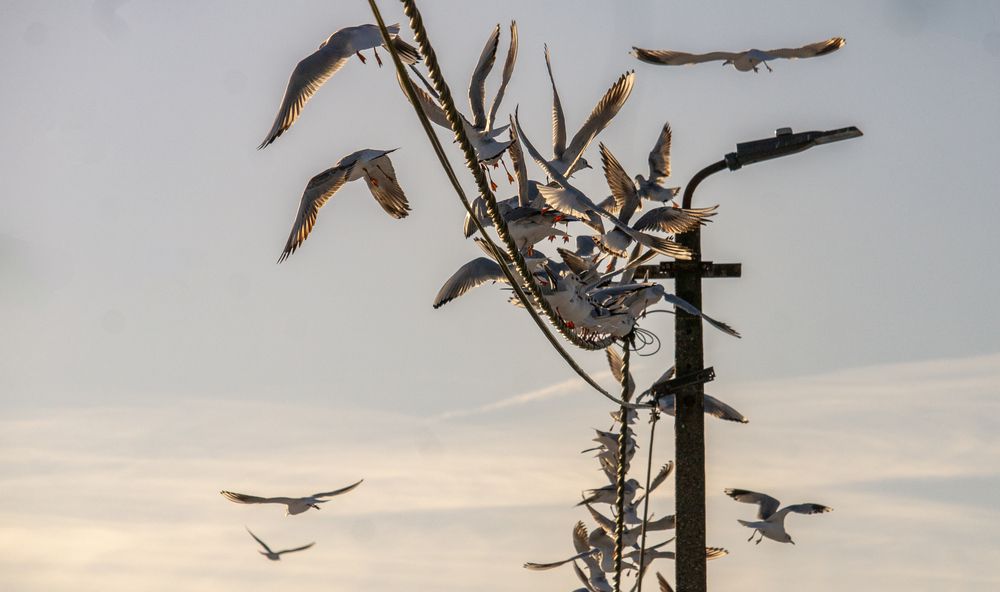 Photograph by Martine INNOCENT