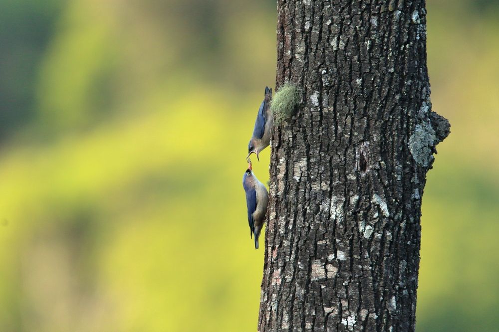 Фотография автора Chandra sekar