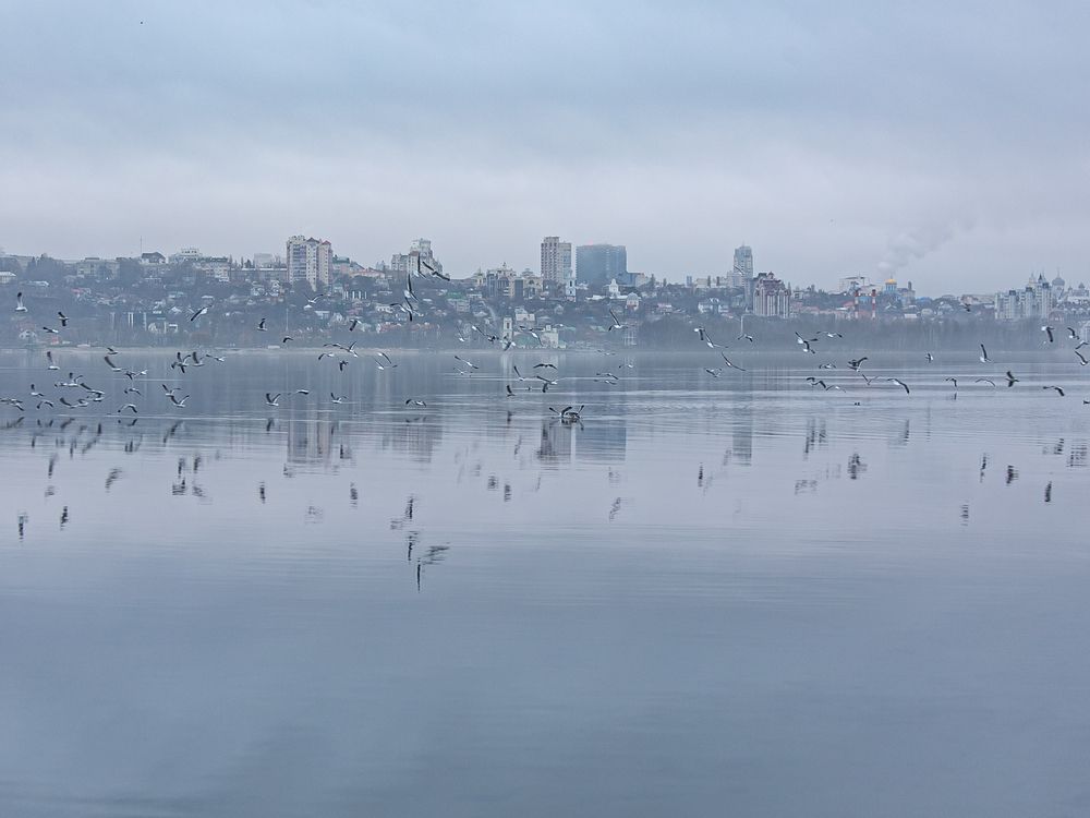 Фотография автора Елена Чиликина