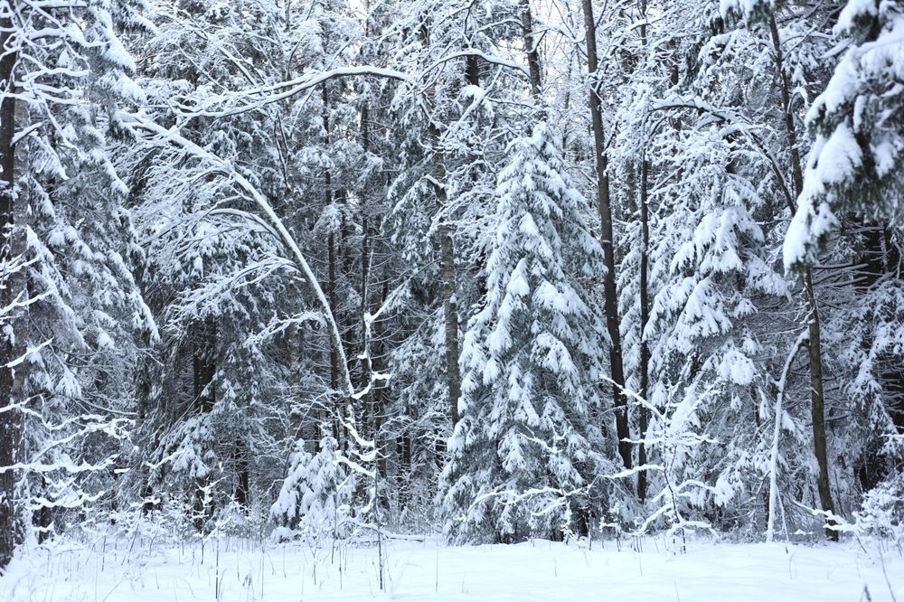 Фотография автора Алина Павлова