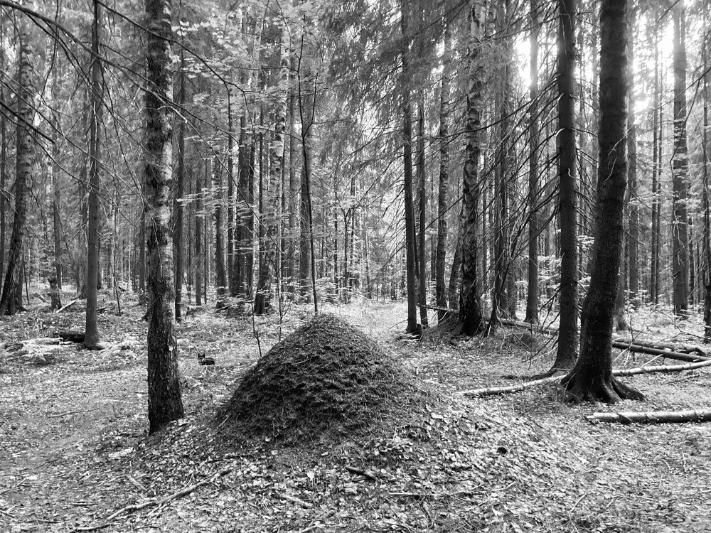 Фотография автора Алина Павлова