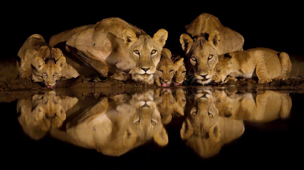 Ночная жажда