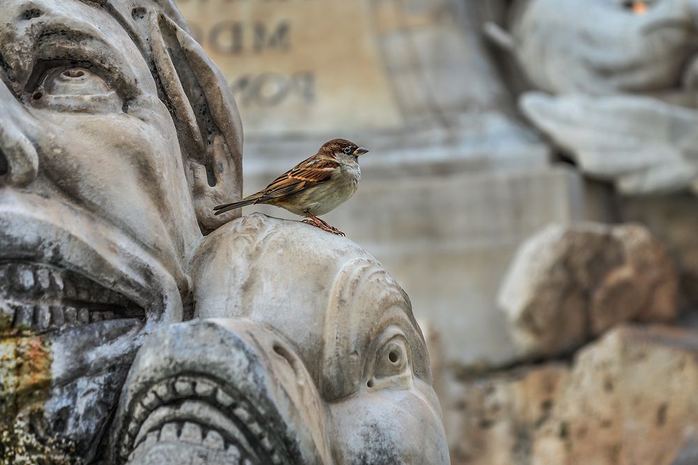 Photograph by Марина Ческис