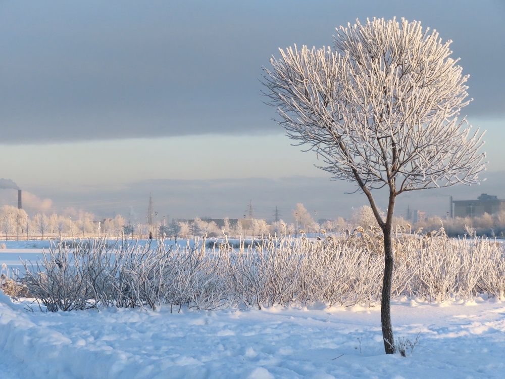 Photograph by Елена Жукова