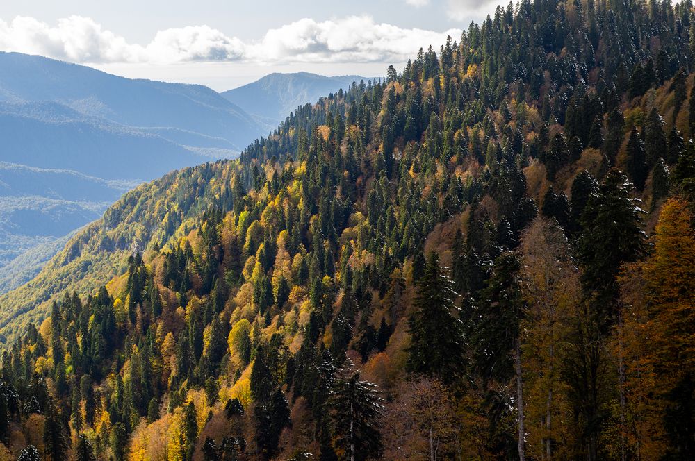 Photograph by Максим Захаров