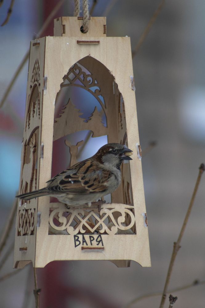 Photograph by Светлана Тарханова