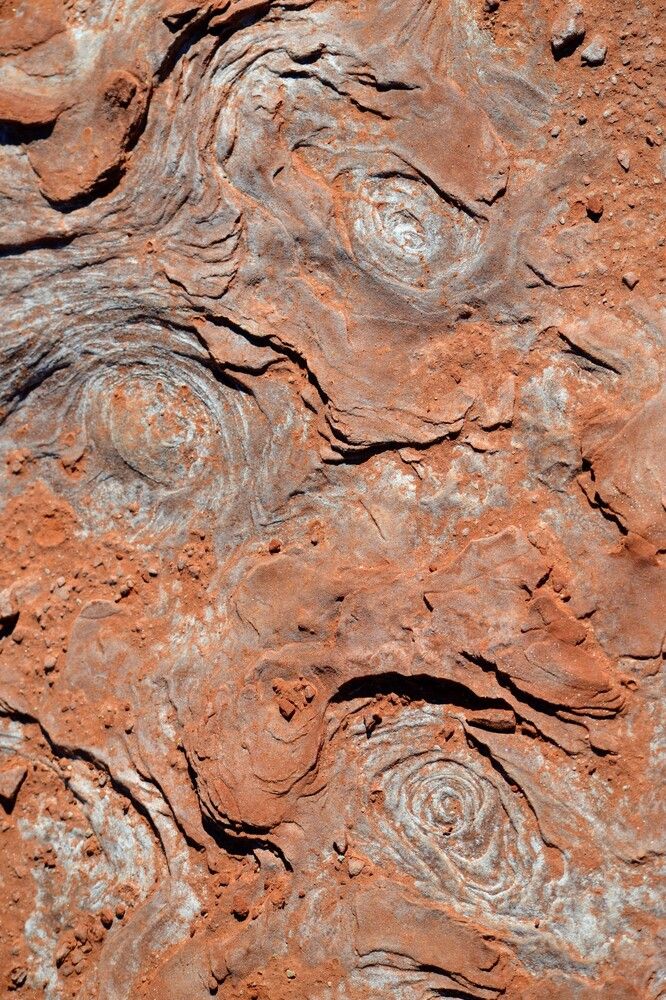 Фотография автора Jorge Martinez