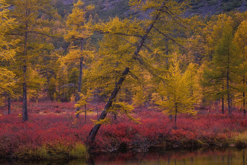 Photograph by Морозов Сергей